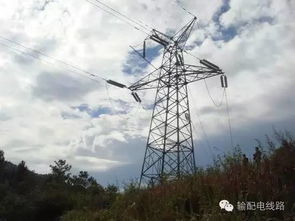 图文解析架空输配电线路的杆塔的各种分类